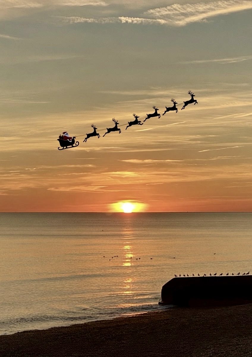 Brighton Beauty tweet media