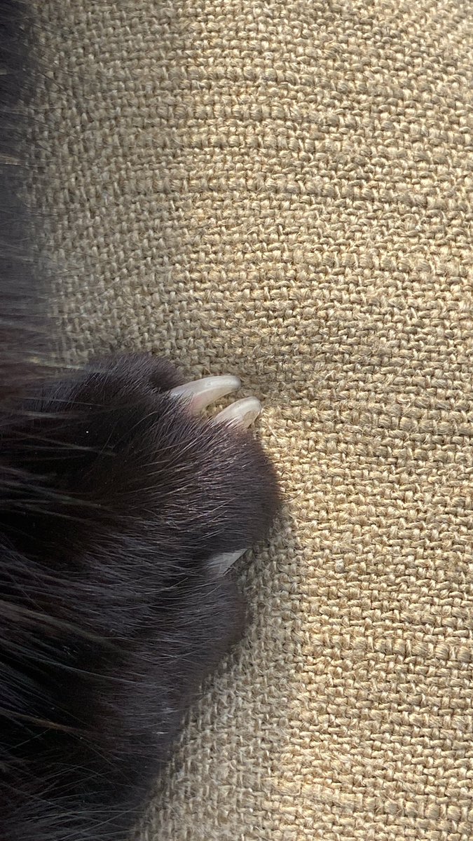 canim oglum 😘😘