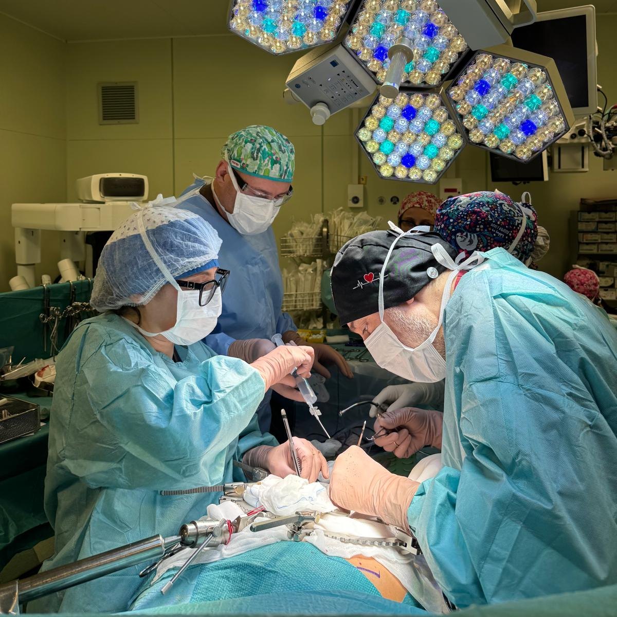 policlinicoMI's tweet photo. Vigilia di Natale, le sale operatorie del Policlinico di Milano non si fermano. Come tutti i giorni medici, infermieri e professionisti sanitari in prima linea per e con i nostri pazienti.

#chirurgia #salaoperatoria #vigiliadinatale #milano #PoliclinicoMi https://t.co/A3fEvCOMXb
