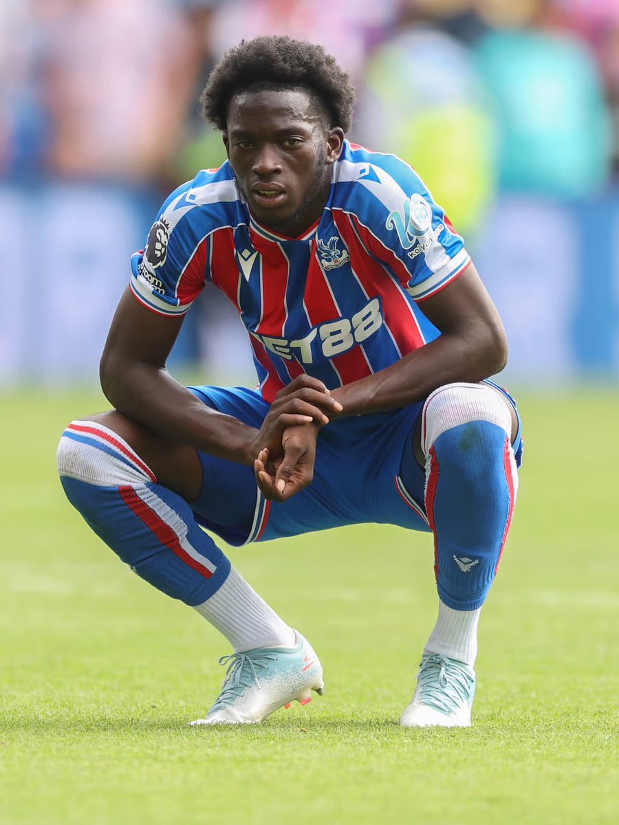 The Beak of Beak Street 🏆 🏆 tweet media