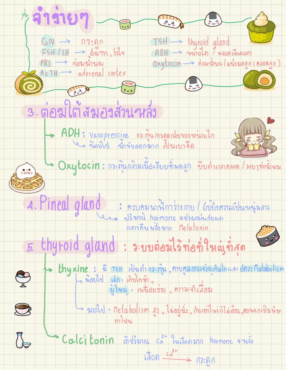 🧠💧 สรุป “ระบบต่อมไร้ท่อ”
เจาะจุดที่มักออกสอบ  📘✨

📗 ขอขอบคุณโน้ตสุดปังจาก Fernsasi

💬 หากเป็นประโยชน์ ติดตามไว้เลย
จะได้ไม่พลาดสรุปเด็ดตลอดเทอม! 🩵

📝 นี่ยังไม่ใช่ทั้งหมด!
อ่านฉบับเต็มได้ที่ ⬇️
clearnotebooks.com/th/notebooks/1…

#dek69 #กลางภาค #ชีวะ #ชีทสรุป