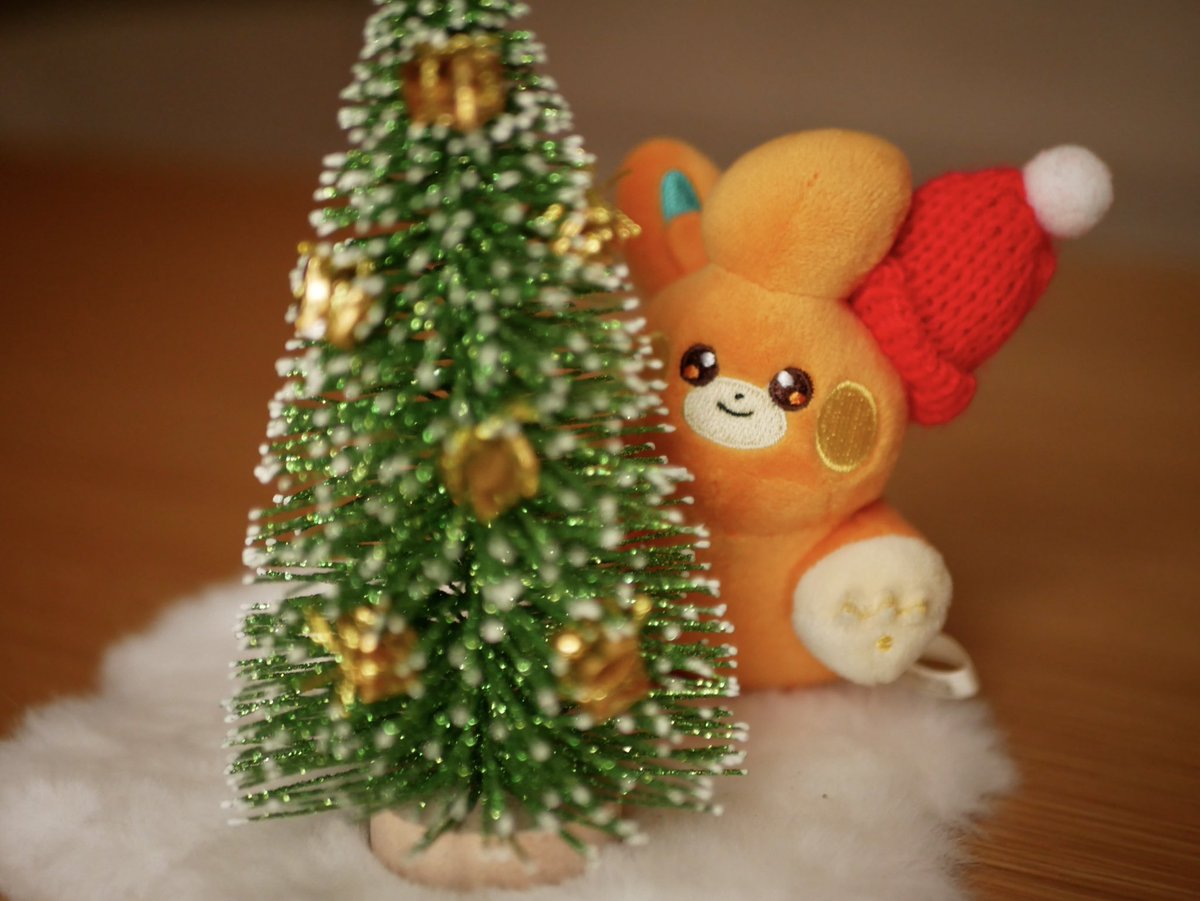 Merry Christmas🎅🎄✨