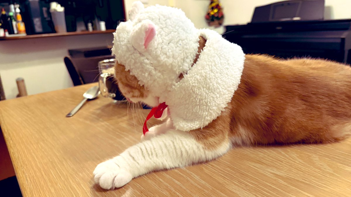 koba Moto Channel (@koma_twi22) / Posts / X