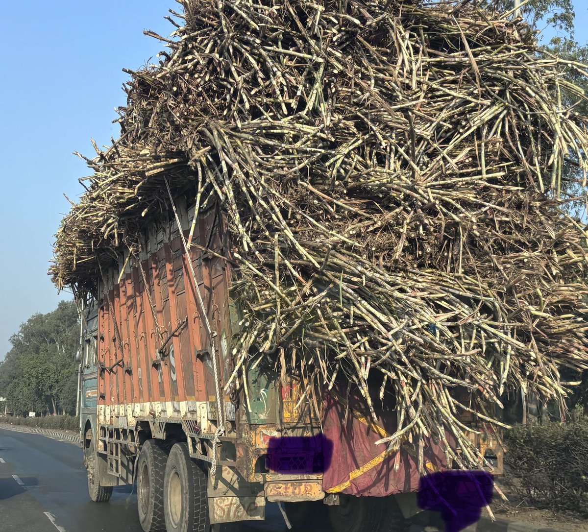 arijitgm's tweet photo. Sugarcane husk isn’t waste—it’s a feedstock for clean power, biofuels, green packaging, and carbon credits.
The next growth engine for agri-industry lies in turning biomass into value, not smoke.
#sustainable #circulareconomy #climateaction #agriinnovation https://t.co/c7AGfKA89d
