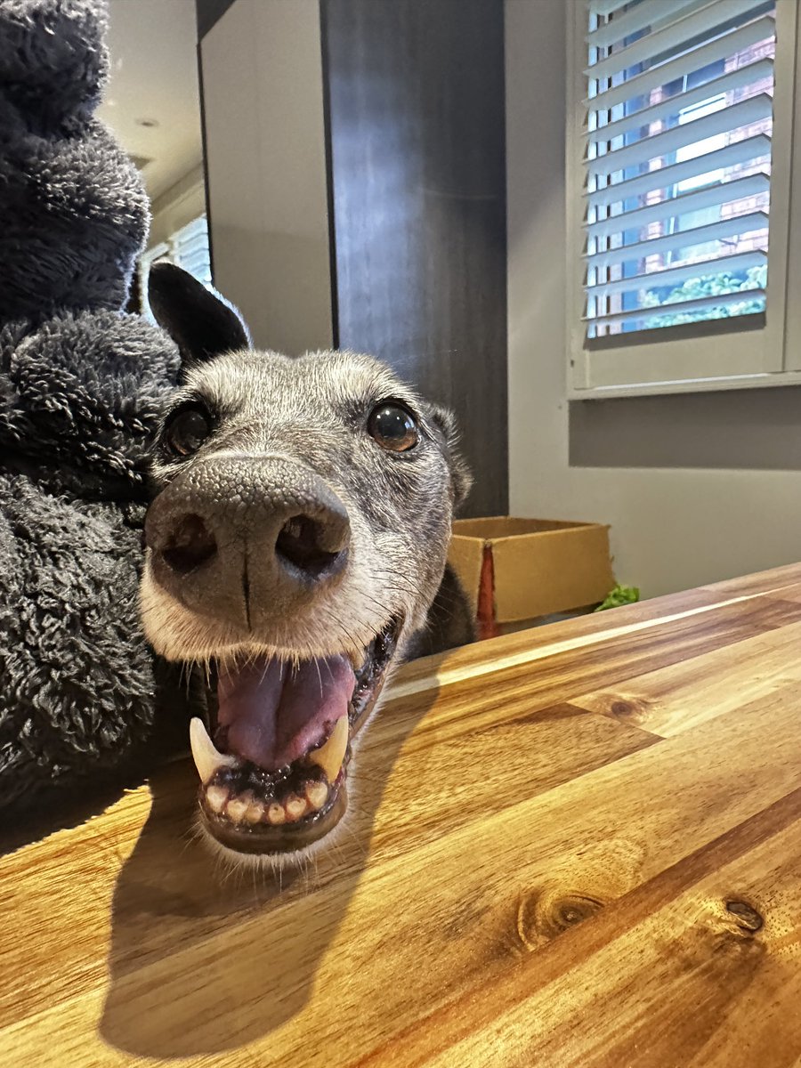 各位推上的小伙伴
圣诞节快乐呀