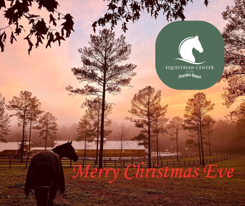 🎄🐴 Christmas Eve at The Pine Hill Ranch 🐴🎄
As the sun sets over the pasture and the horses settle in for the night, we’re wishing you a peaceful and joyful Christmas Eve. 
From our ranch family to yours—Merry Christmas and sweet holiday dreams. ✨🌟