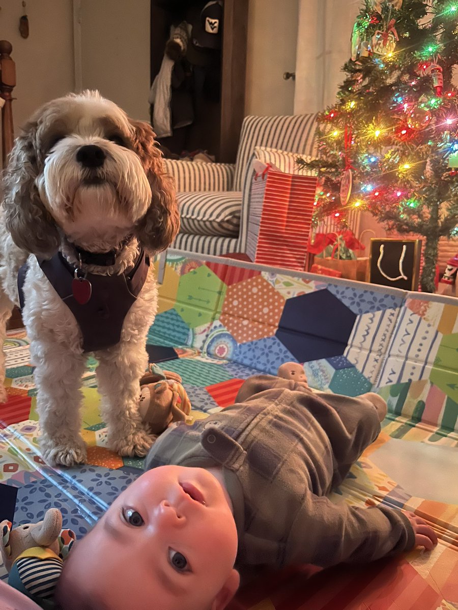 Karma for the years I was too excited to sleep on Christmas Eve.