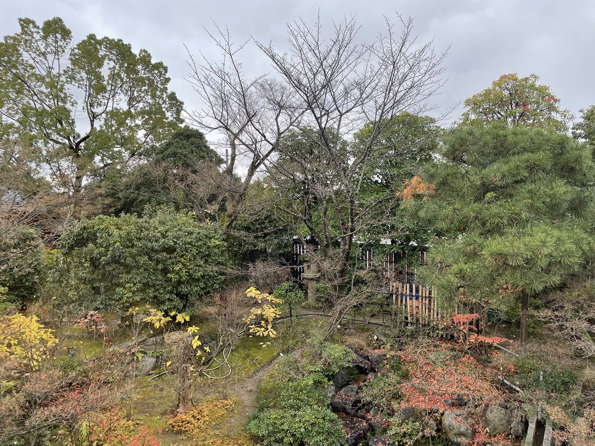 Eijin_Nimura's tweet photo. 今年 @UNESCO 憲章採択80周年を迎え京都にて佐藤地・元大使と対談と演奏を行ってきました（控室からの風景）。紛争終結後など特に重要な役割を果たすUNESCOですが、現在日本の平和芸術家は節子さんと僕の二人のみ。東日本大震災15年も控え引き続き真摯に活動を続けます。来年もよろしくお願いします。 https://t.co/W7a9Fy2Ajj