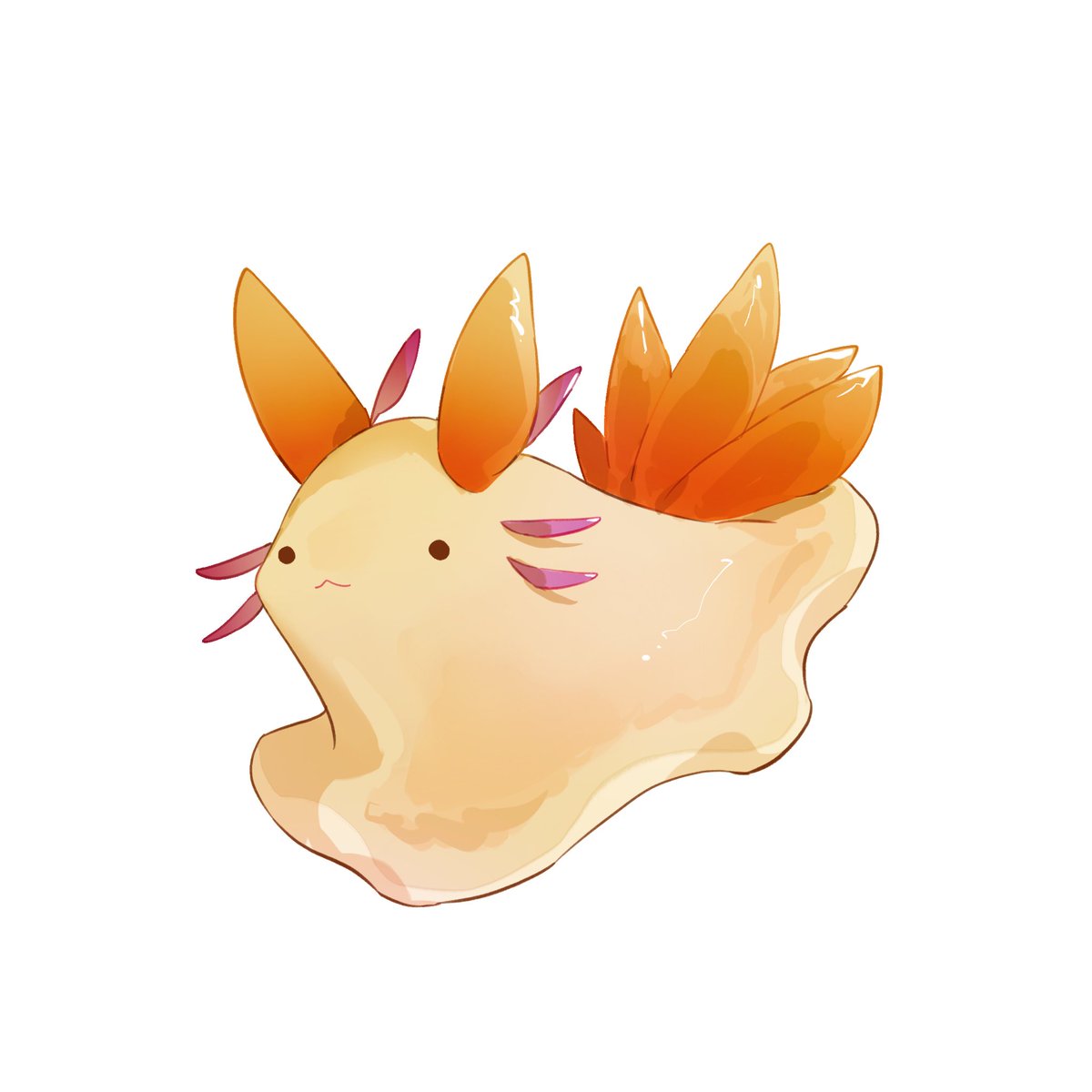 sea slug🥴