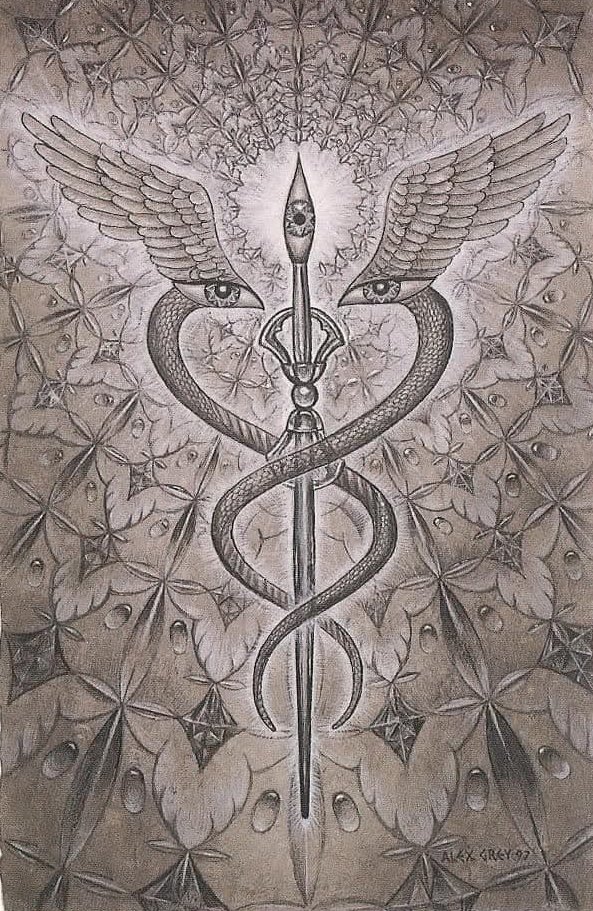 sanjabh's tweet photo. “I believe that there is a subtle magnetism in Nature, which, if we unconsciously yield to it, will direct us aright.”

― Henry David Thoreau

Artist: Alex Grey https://t.co/Rm8wi9q9oH
