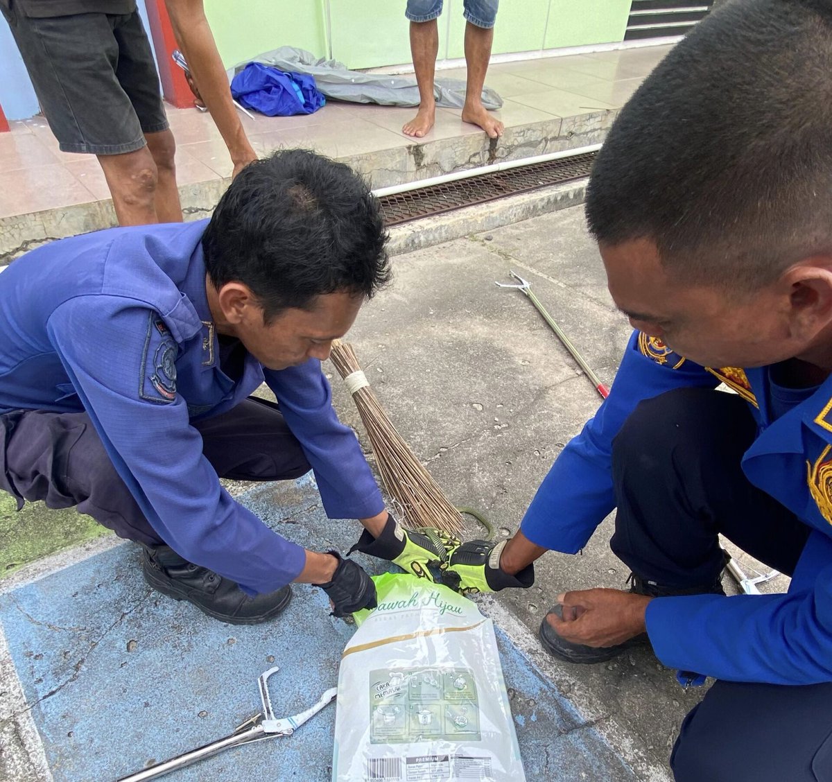 intrikdotid's tweet image. Ular Terbang 1,5 Meter Sembunyi di Box Motor, Tim Damkar Beraksi

intrik.id/ular-terbang-1…

#Damkar #damkarbangka #ular