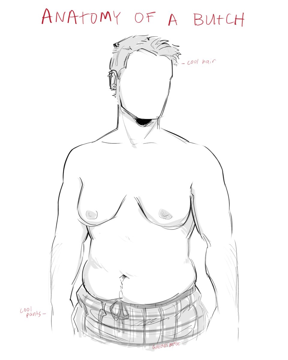 galileosBeast's tweet photo. anatomy of a butch https://t.co/b4EnfROn3l