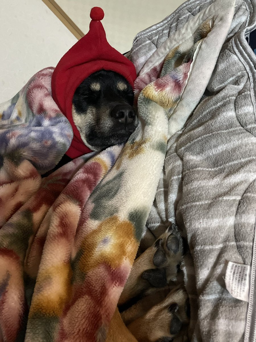 メリークリスマス🎅🎄