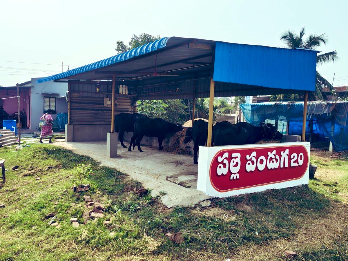 ONLY4JSP's tweet photo. ఈ రోజు
ఒక వైపు PESA మహోత్సవం
ఒక వైపు ఇప్పటం ఆనందోత్సవం
ఒక వైపు పల్లెపండుగ
ఒకవైపు Magic Drain
#PESAMahotsav2025
#ఇప్పటం
#MAGICDRAIN
#PallePanduga2
#THANKYOUPAWANSIR
శ్రీ @PawanKalyanగారు 👣🙏 https://t.co/OJmX92zkZC