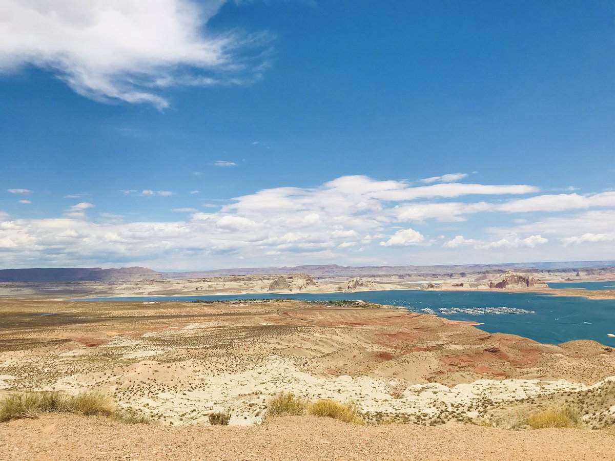 Monica H. tweet media