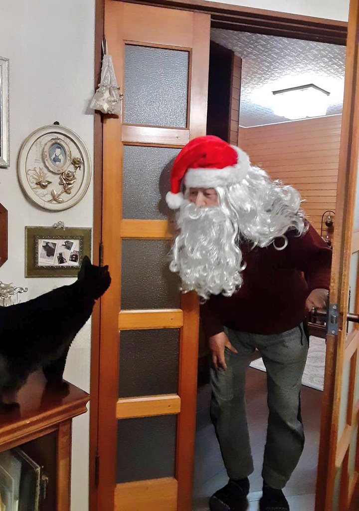 𓆛𓆜𓆝𓆞𓆟 tweet media