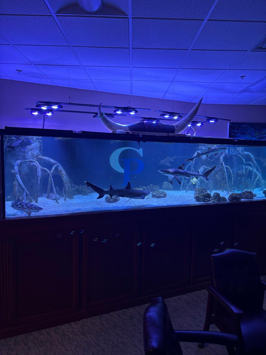 Jkfish7's tweet image. 2500 Gallon Shark Aquarium Clifton NJ

Read more... shorturl.at/dE1oQ

#sharkaquarium
#fishtanks
#aquariumservices
#randolphnj