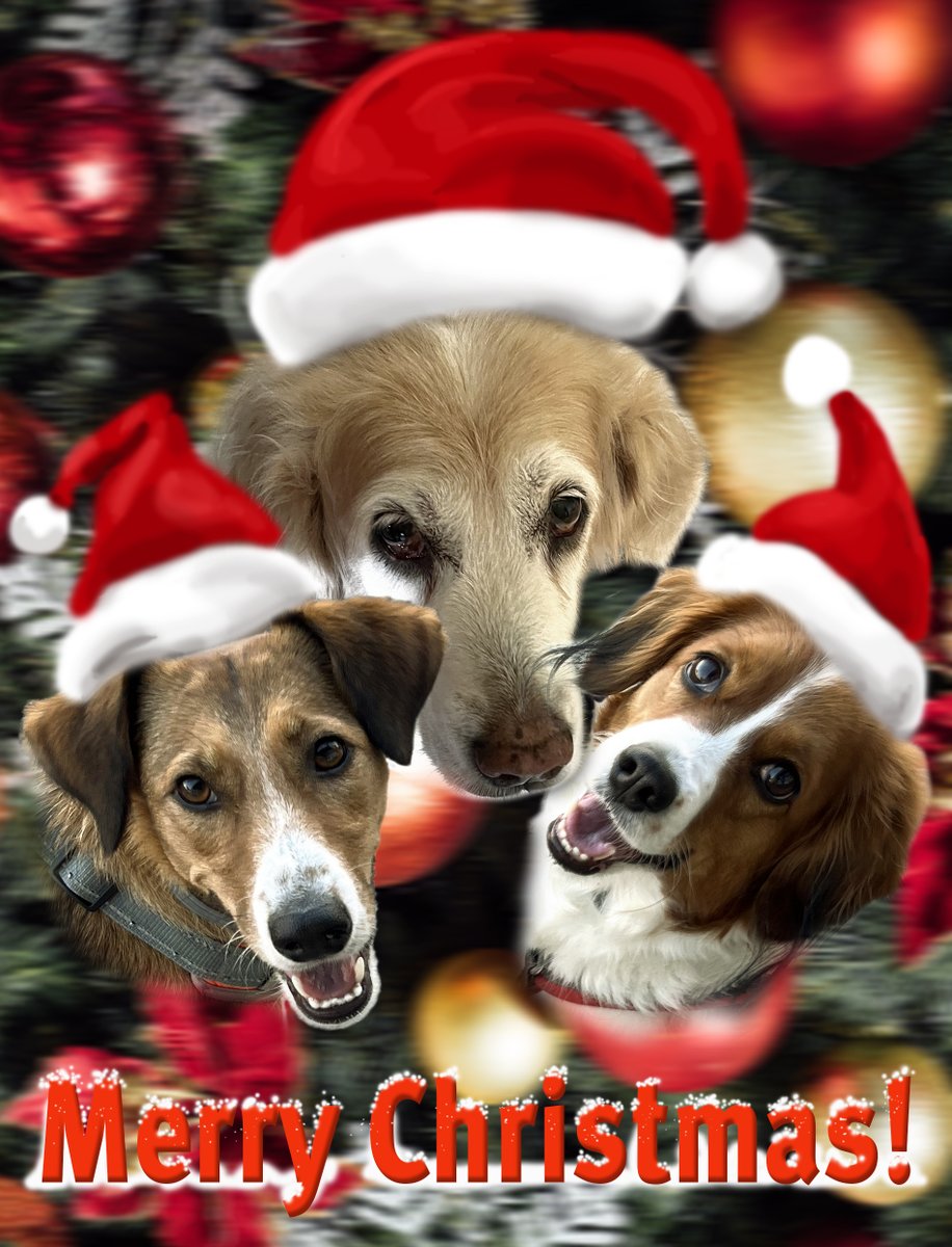 Счачтливого Рождества всем, кто празднует сегодня!