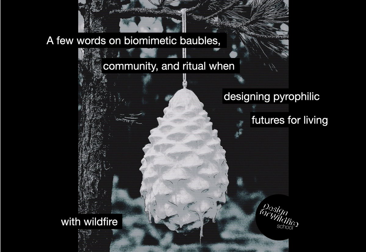 Panarchic Codex® tweet media