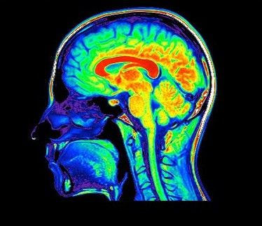 Algunas personas nunca publican fotos en línea.

Nada de selfies. Nada de actualizaciones. Nada de momentos de "mírame".

En un mundo construido para llamar la atención, su silencio destaca.

Esto es lo que la psicología dice que realmente significa: