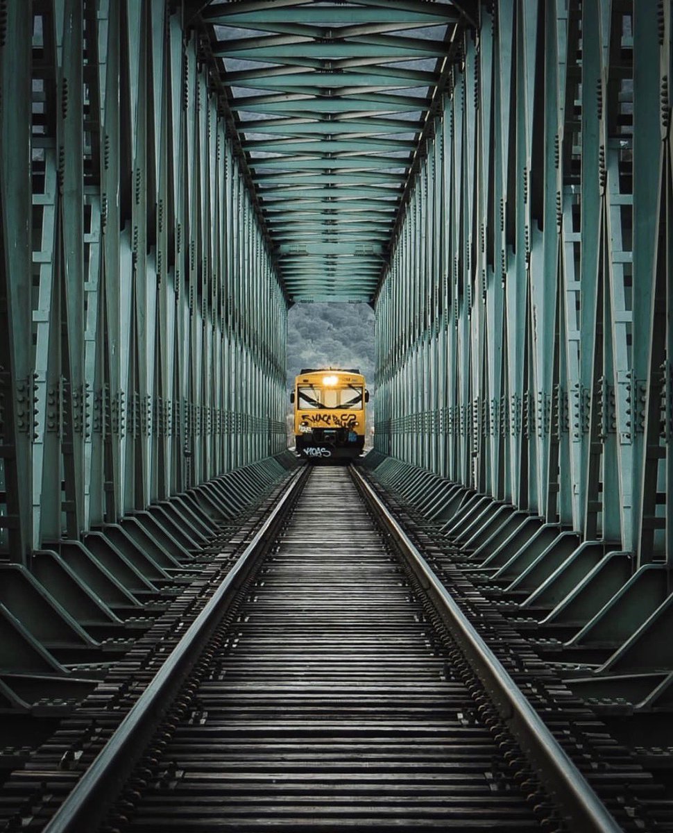 theglobalphotocommunity tweet media