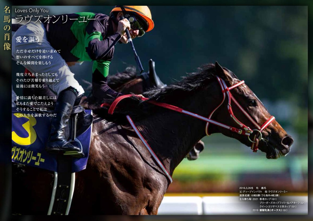 ラヴズオンリーユー　19年　オークス　現地的中単勝馬券 ラヴズオンリーユー 19年 オークス 現地的中単勝馬券 ラヴズオンリー