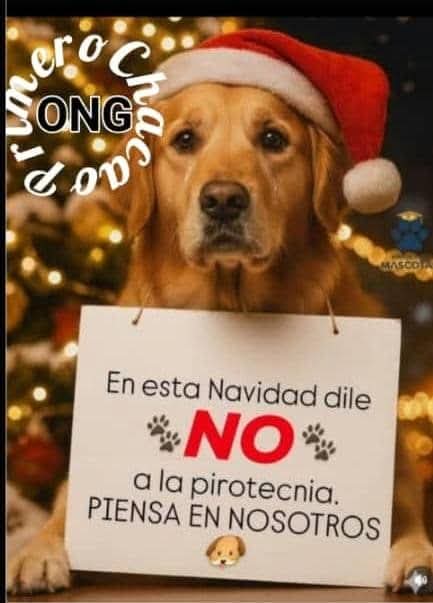 Así es, primero en ellos!!!!! 0 Pirotecnia por favor 🙏🙏🙏🙏