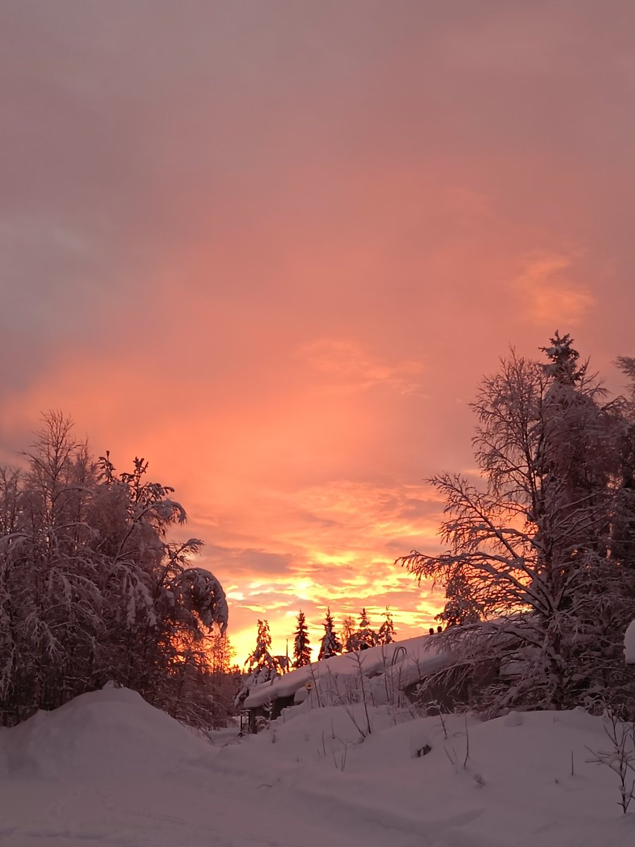 Pinkit jouluterveiset pohjosen taivaan alta ✨