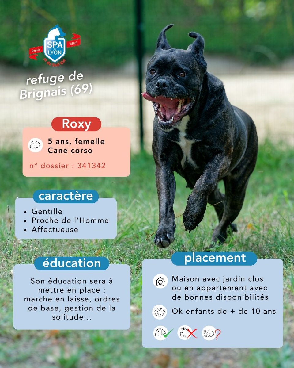 SPA de Lyon tweet media