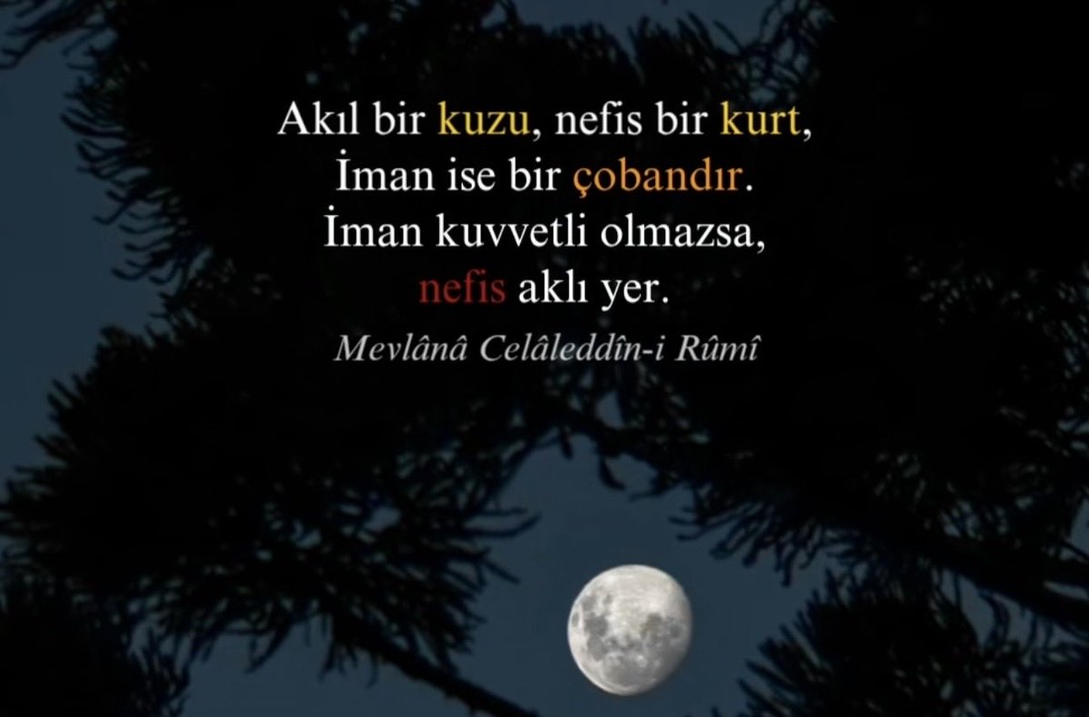 kenan zengin (@kenan110282) on Twitter photo 