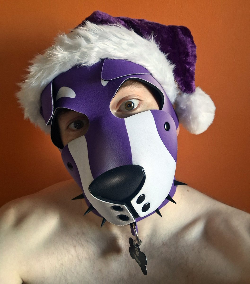 A very puppy Christmas to all! 💜🎄🎅☃️🎁

#gaypup #gaypuppy #pupplay #puppyplay #humanpup #humanpuppy #irishpup #irishpuppy #purplepuppy #purplepup #christmas #happychristmas #merrychristmas
