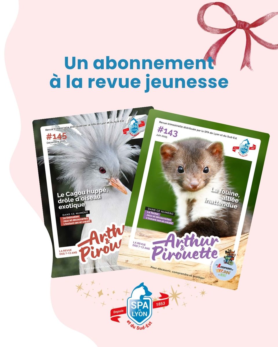 SPA de Lyon tweet media