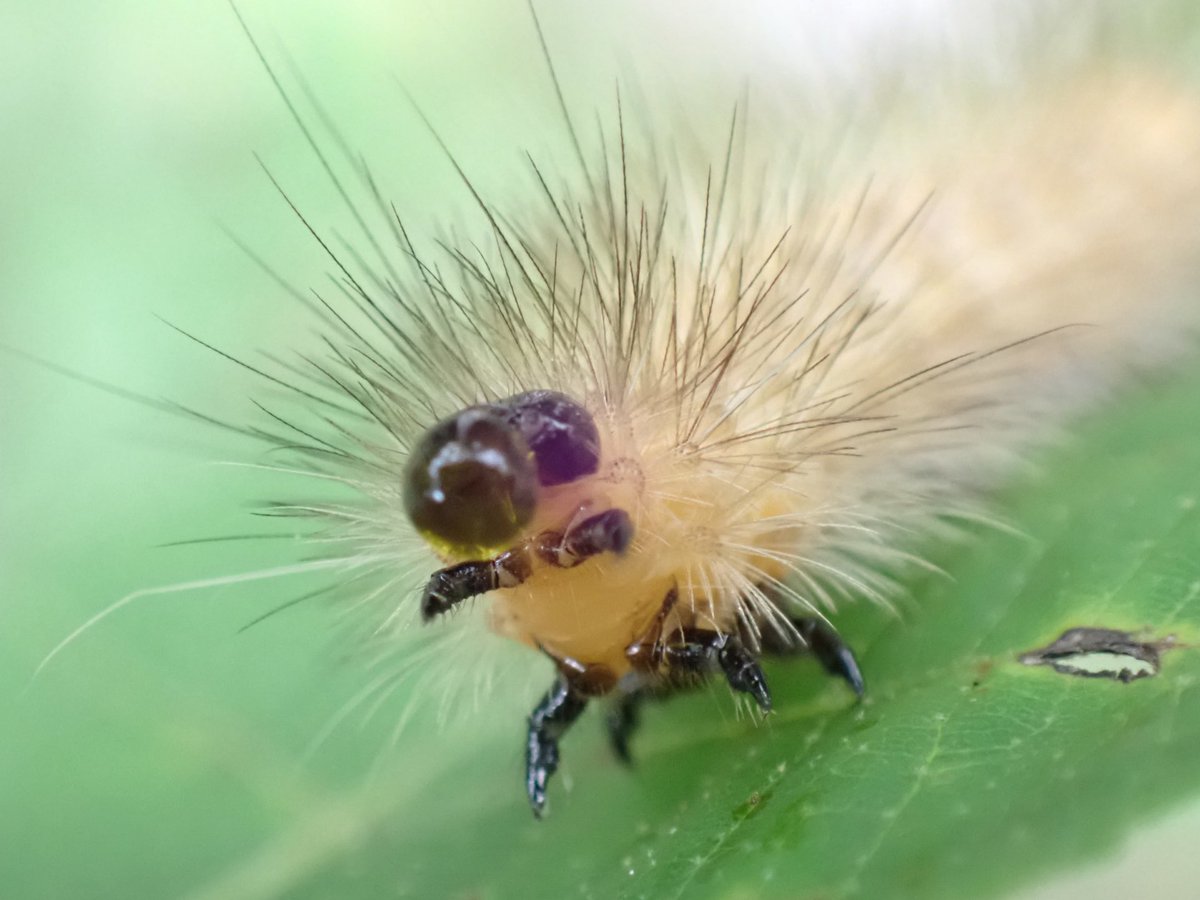 いぶちょん (@W1M61OryvqsVHzY) / Posts / X