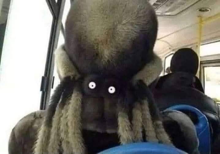 Автобусанд жаахан дуг хийгээд сэрээд золтой л зүрх амаар гарчихсангүй гэж😂