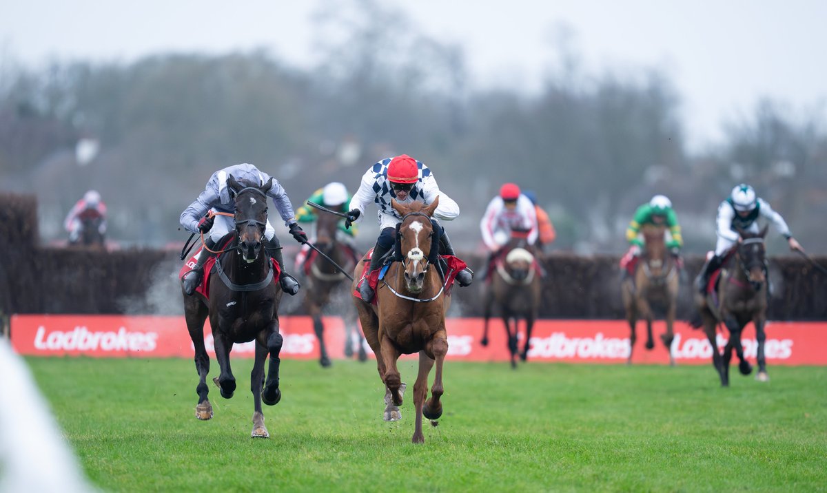 RPWeekender's tweet image. 👀 "With no rain forecast and the ground likely to be just as quick as last year, I can’t let Banbridge go unbacked at 16-1."

Paul Kealy can sense an upset in a star-studded King George at Kempton. He's got two other fancies elsewhere at Kempton and Chepstow!