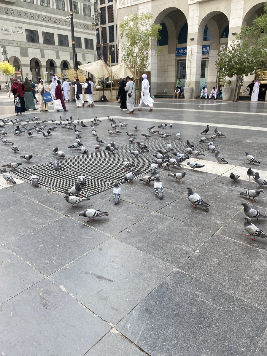 aa_mii_'s tweet photo. -أول يوم مطر وأول يوم لبست النقاب 
-عُمره بعد غياب ٣ سنين
-أول مره اروح المدينه
-خطوبه ال Best friend https://t.co/eucVBNnsfD