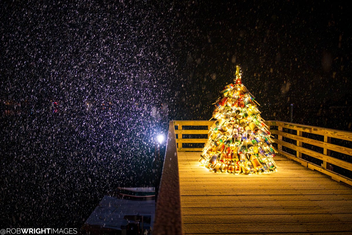 Rob Wright Images tweet media