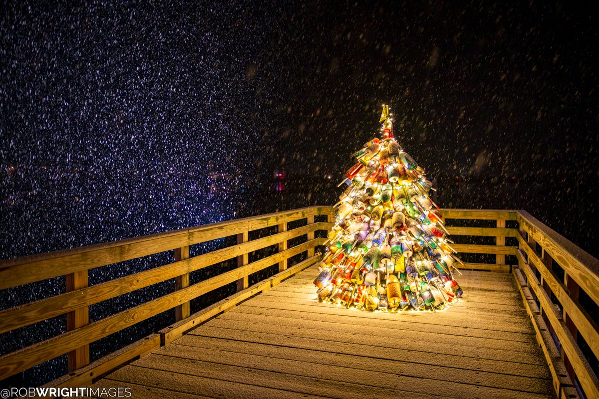 Rob Wright Images tweet media