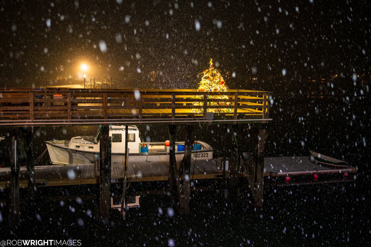 Rob Wright Images tweet media