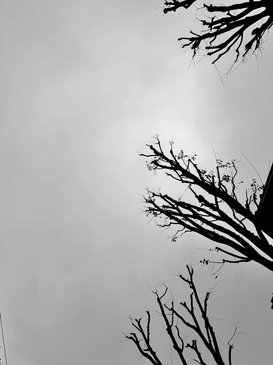 足立房文 Fusafumi Adachi (@fsfmadc) on Twitter photo 