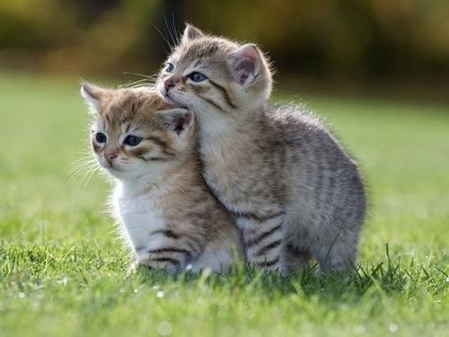 𝙻𝚎𝚎 (@sexycutie0915) on Twitter photo 