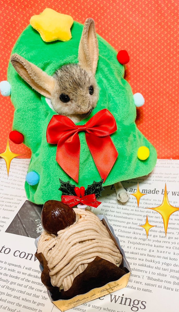 サメハル🚲自転車用 (@kinusamep) / Posts / X