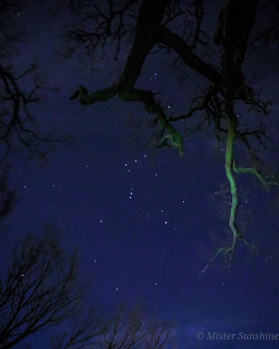 May your heart sing softly,
where stardust meets hope.
Even alone, you are a spark💥 of eternal sunshine
and the night will reflect your song.
On a quiet night🌙, a little reminder: even in the darkness, something shines within us-and above us. ✨🔥❤️🙏

#Starrysky #Orion #Hope
