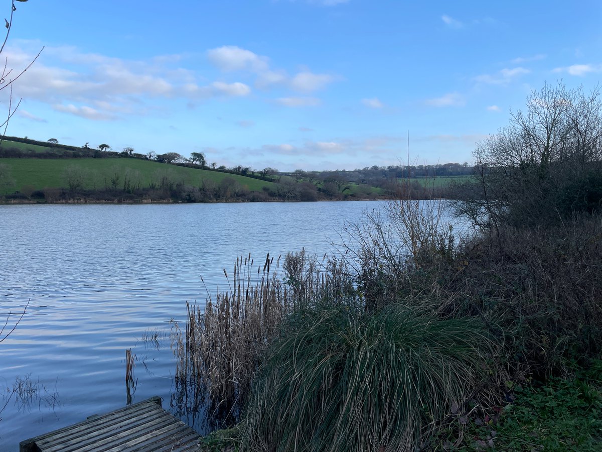 EA Fisheries - Devon and Cornwall tweet media