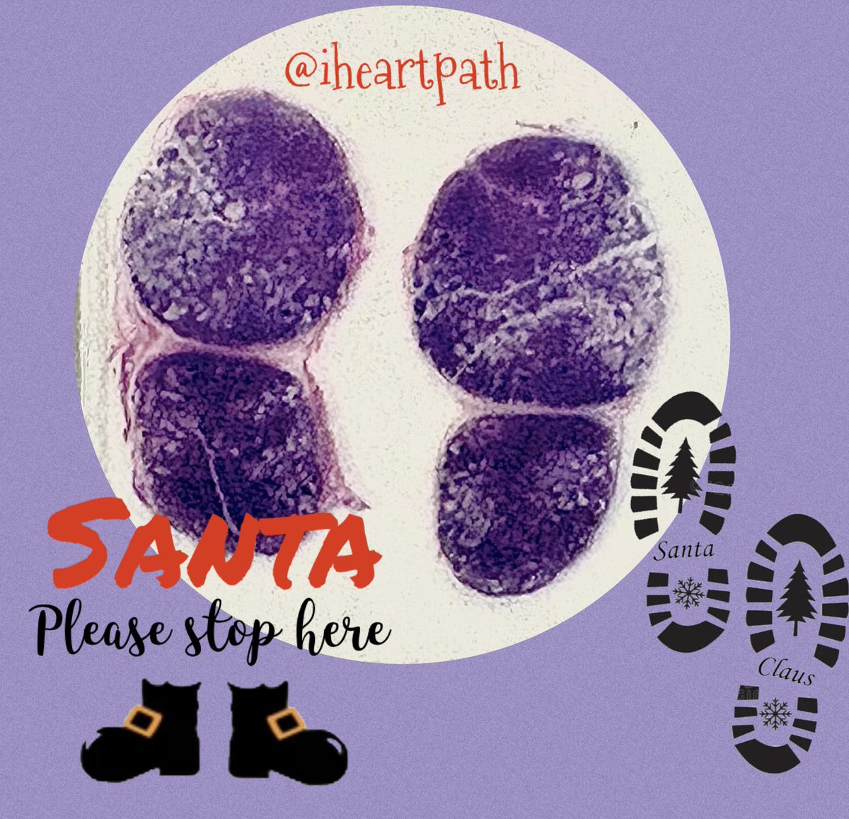 iheartpath tweet media