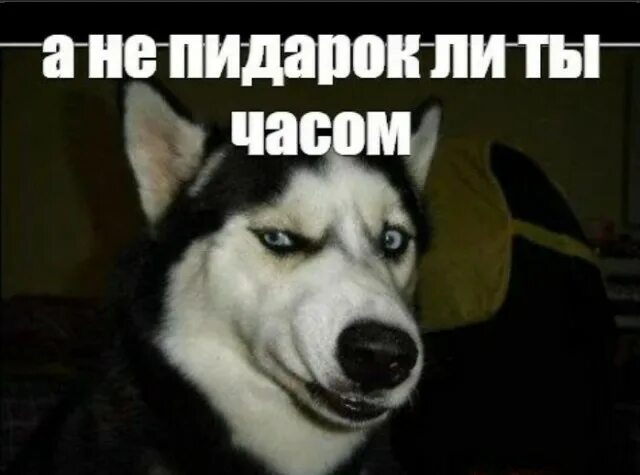 RMSwierczewski's tweet photo. @durov @mickal https://t.co/IL5PG5zViC