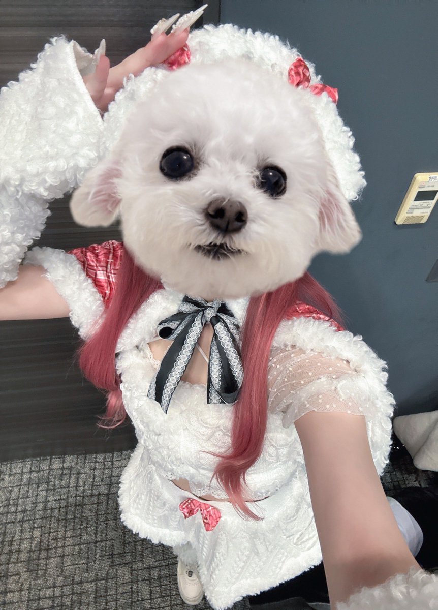 ♡【にゃん❤︎様】専用ページ♡ MF文庫J「にゃんにゃんにゃんフェア」開催！ (=^..^=) ねこの装いに身