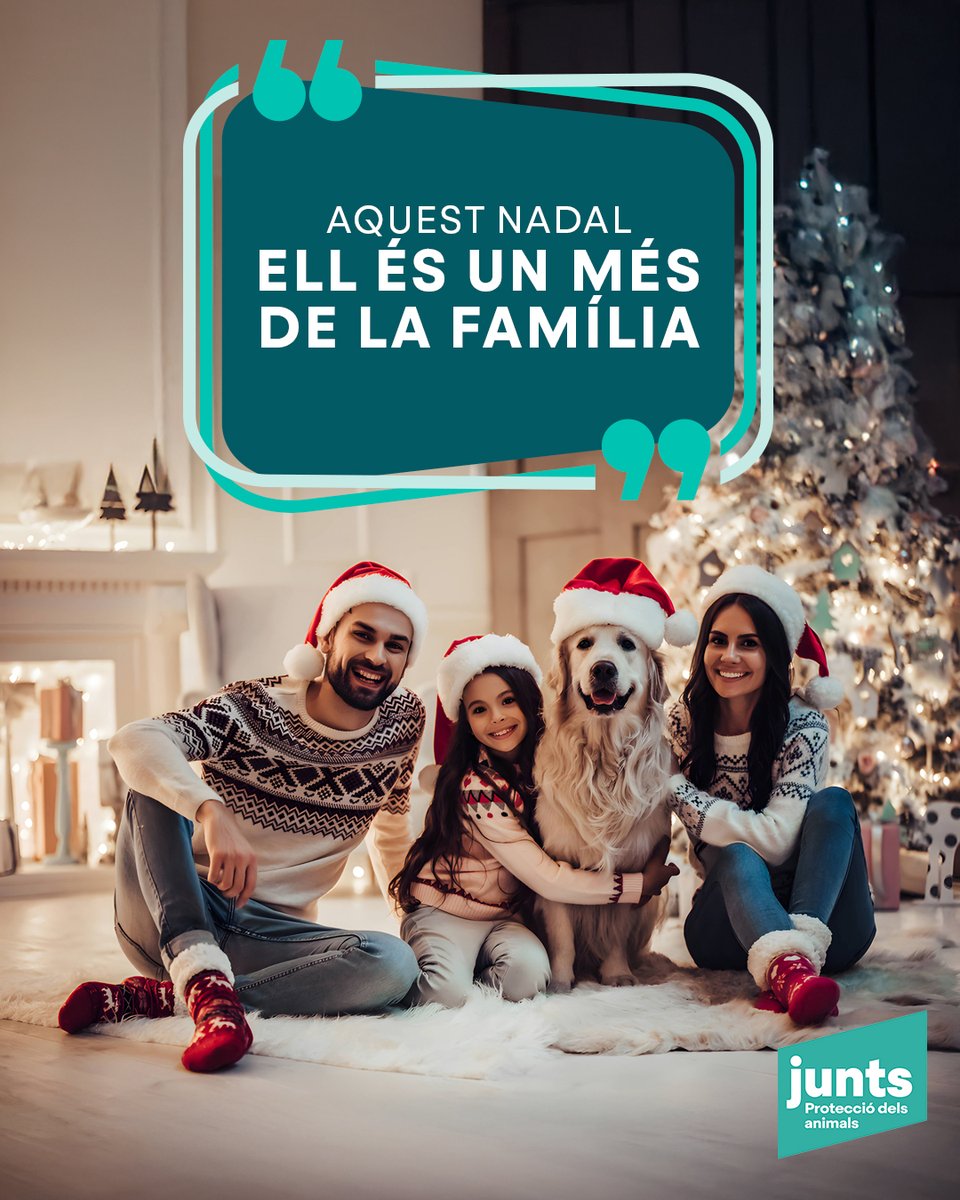 🐶🎁 Aquest Nadal ell és un més de la família!

🎄 Des de la Sectorial de Protecció dels Animals de <a href="/JuntsXCat/">Junts per Catalunya🎗</a> us volem desitjar un Bon Nadal. Si estàs pensant en adoptar, recorda: és per sempre, no només per a unes dates. Ell ja és de la família! n