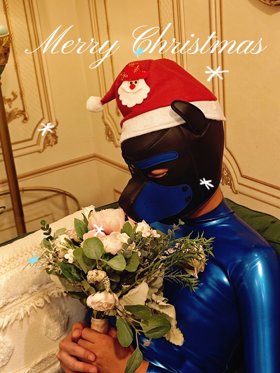 ¹²🎄₂₅ 𝑀𝑒𝑟𝑟𝑦 𝐶ℎ𝑟𝑖𝑠𝑡𝑚𝑎𝑠 𓃲𓂃
ᥫᩣ要一直快乐，不止圣诞🧑‍🎄
📷<a href="/sigezifu45/">FFDsigezifu</a>