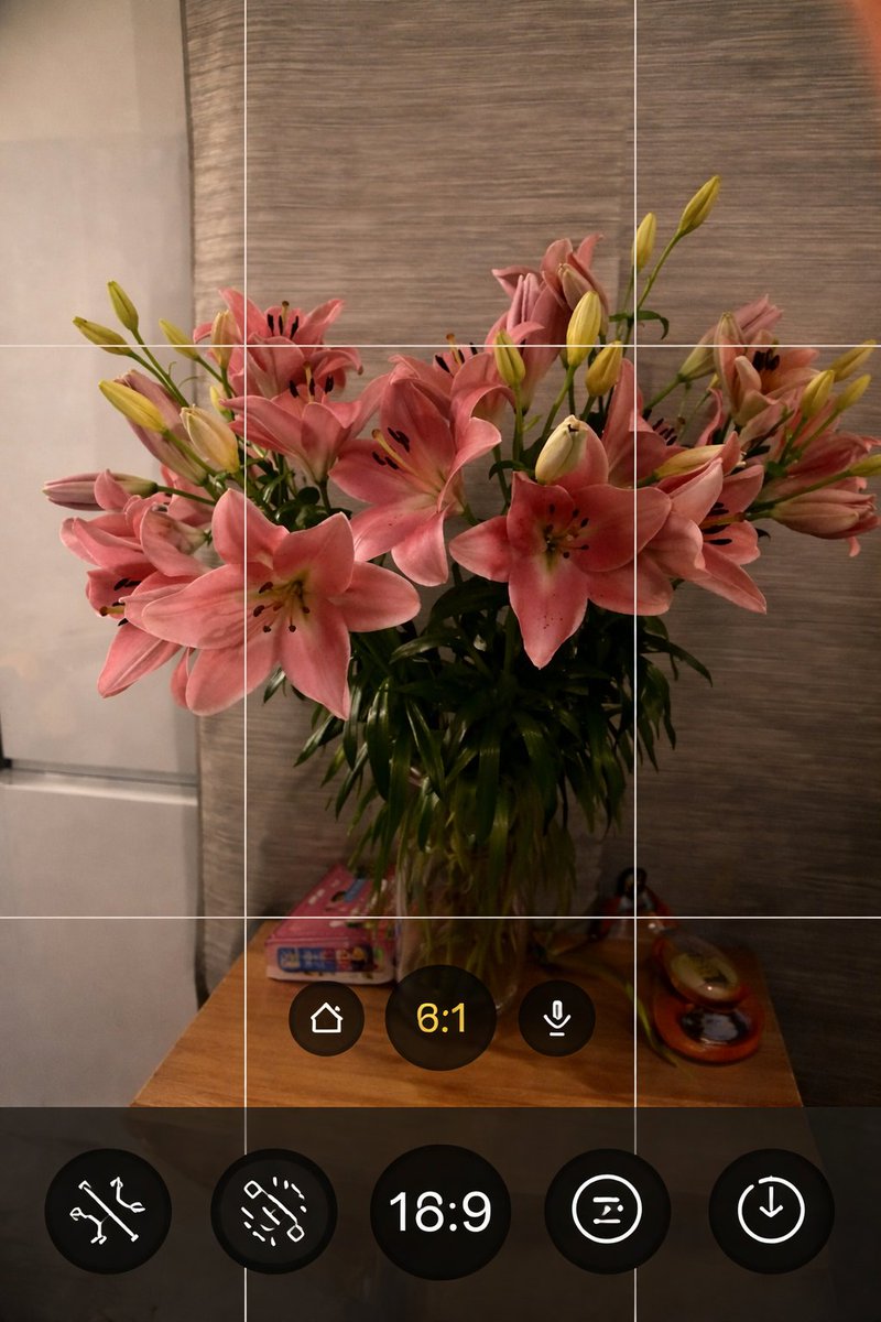 chaarpaai's tweet image. 